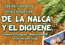 fiesta de la nalca y el diguene en pitrufquen 600