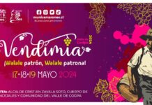 Fiesta de la Vendimia del Valle de Codpa 2024