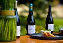 Inauguran Fiesta de la Vendimia del Valle de San Antonio 2024