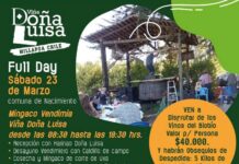 Mingaco Viña doña Luisa 2024