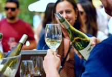 Vendimia Valle de San Antonio 2025