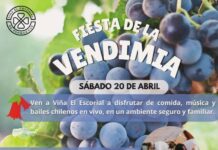 Vendimia Viña El Escorial 2024