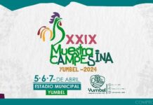 Muestra Campesina Yumbel 2024