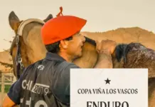 Copa Viña Los Vascos 2024