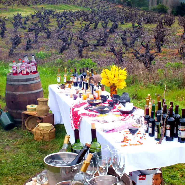 Descubre Portezuelo: Cuna del Vino Chileno y Destino Imperdible en el Valle del Itata 1 Descubre Portezuelo: Cuna del Vino Chileno y Destino Imperdible en el Valle del Itata