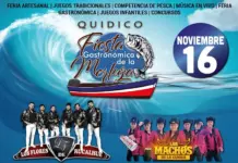 Fiesta Gastronómica de la Merluza en Quidico 2024