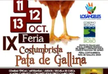 Feria Costumbrista Pata de Gallina 2024