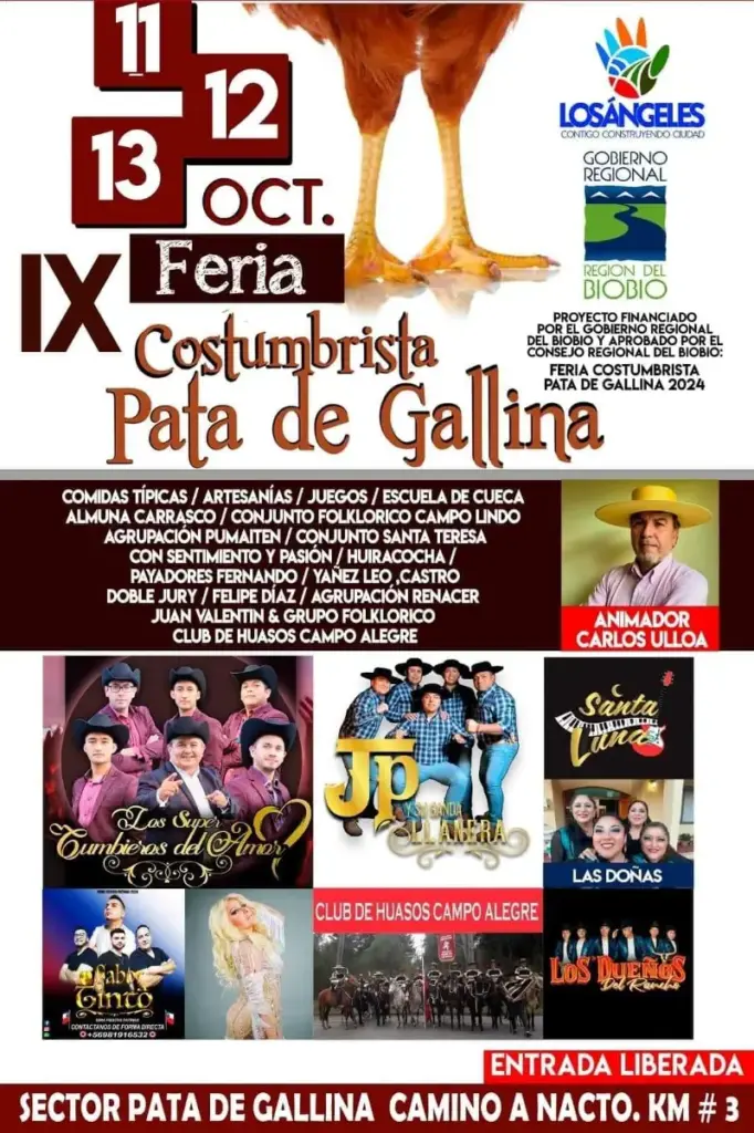 pata de gallina 2024