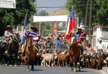 Día de la Trashumancia y el Criancero Caprino 2024