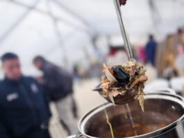 Comida típica de la región del Maule - Mariscal