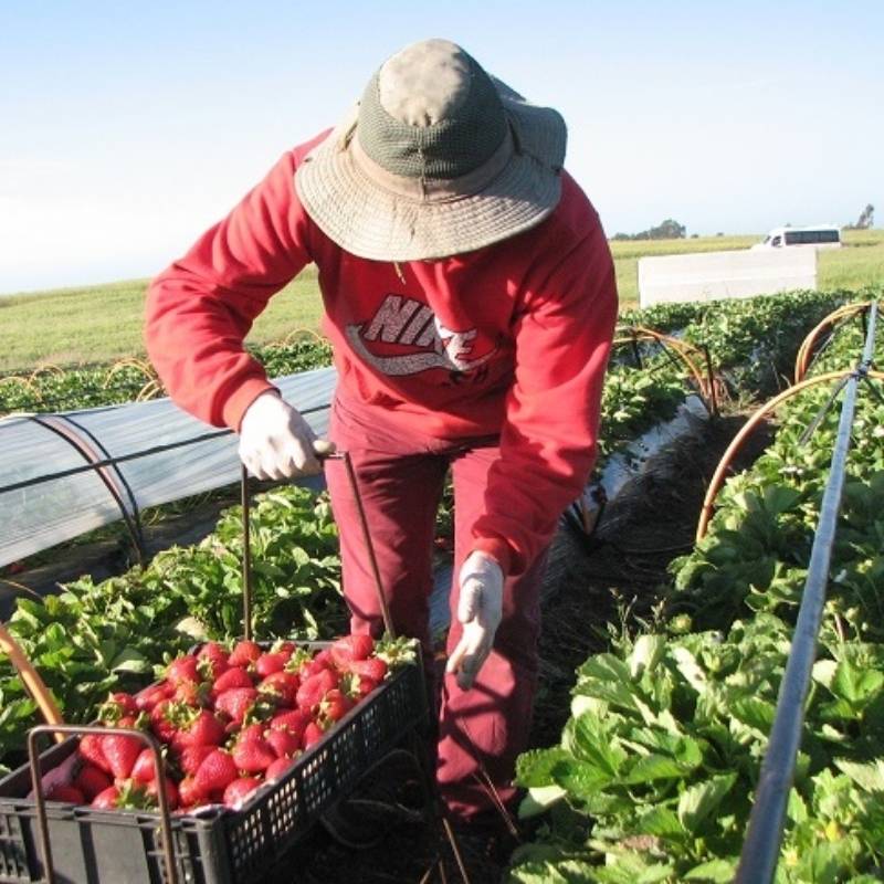 Turismo Rural en la región del Maule Turismo Rural en la región del Maule