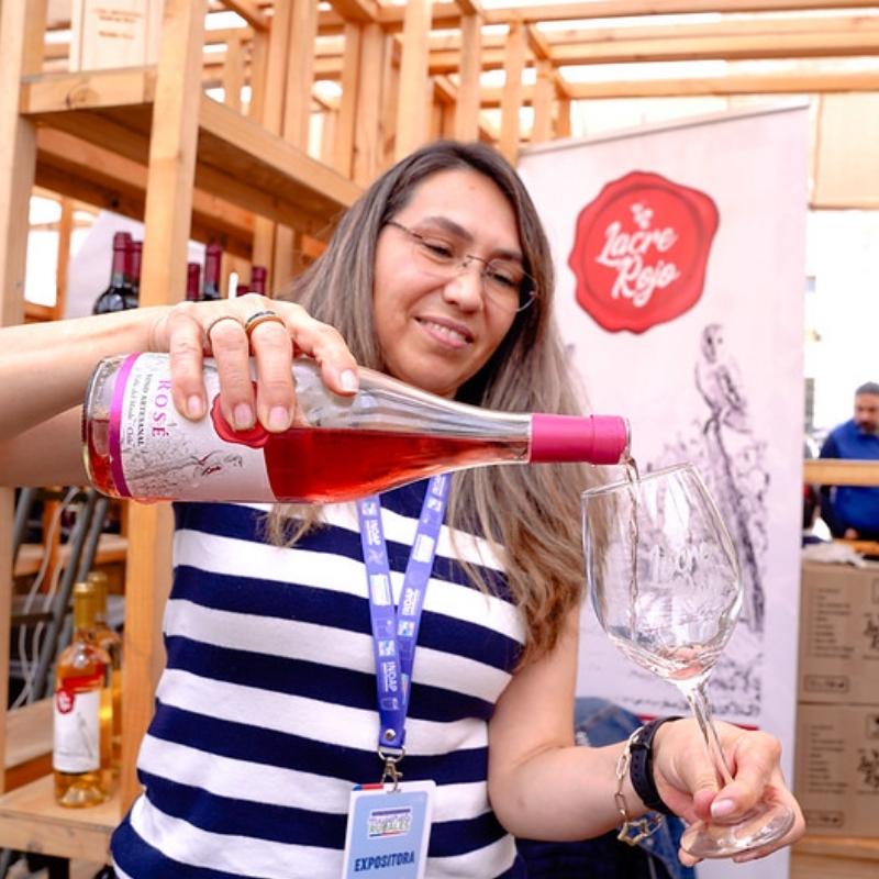 Turismo rural en la región del Maule 1 turismo vinedos Maule