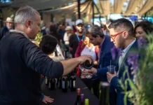 Vendimia 2025 Lugares y fechas