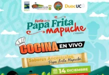 Feria de la Papa Frita Mapuche 2024