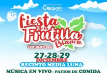 Fiesta de la Frutilla Blanca Contulmo 2024
