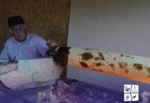 Verano 2025 en Curaco de Vélez