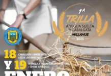 Trilla a Yegua Suelta y Cabalgata Millahue 2025