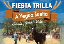 Verano 2025 en Santa Juana