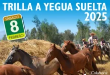 Trilla a Yegua Suelta Pirque 2025