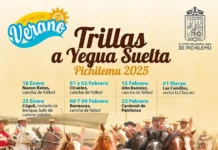Trillas a Yegua Suelta en Pichilemu 2025