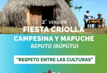 Fiesta Criolla Campesina y Mapuche de Reputo 2025