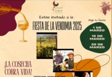 Fiesta de la Vendimia 2025 Arnaud Faupin