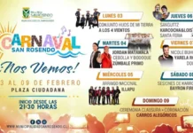 Carnaval San Rosendo 2025