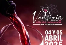 Vendimia Rengo 2025