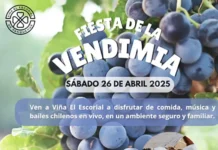 Vendimia Viña El Escorial 2025