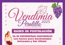 Vendimia Peralillo 2025