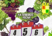 Fiesta de la Vendimia de Punitaqui