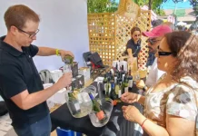 Vendimia Casablanca 2025