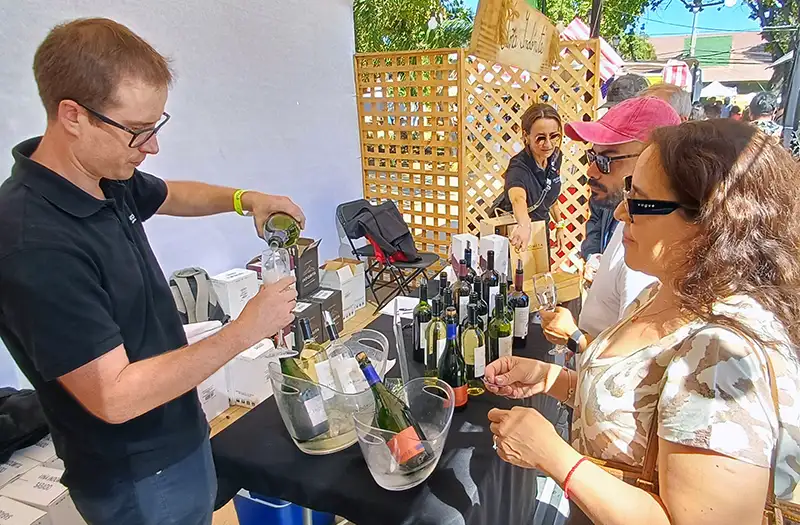 Vendimia Casablanca 2025 1 Vendimia Casablanca 2025 foto de tito alarcón