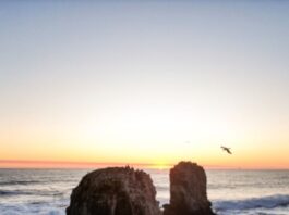 Turismo en Pichilemu playas de Pichilemu