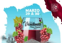 Fiesta de la Vendimia Marchigue 2025
