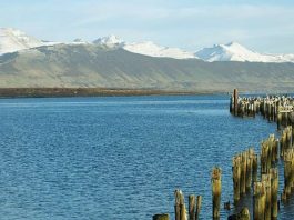 turismo en puerto natales