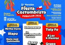 Fiesta Costumbrista 2025 en Peñaflor