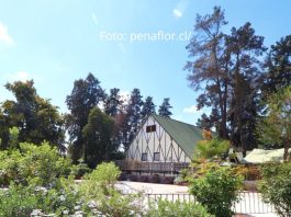 Peñaflor turismo