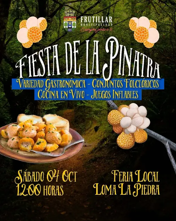 Fiesta de la Pinatra 2025: Tradición y sabor en Frutillar 1 Fiesta de la Pinatra 2025
