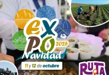 Expo Navidad 2025