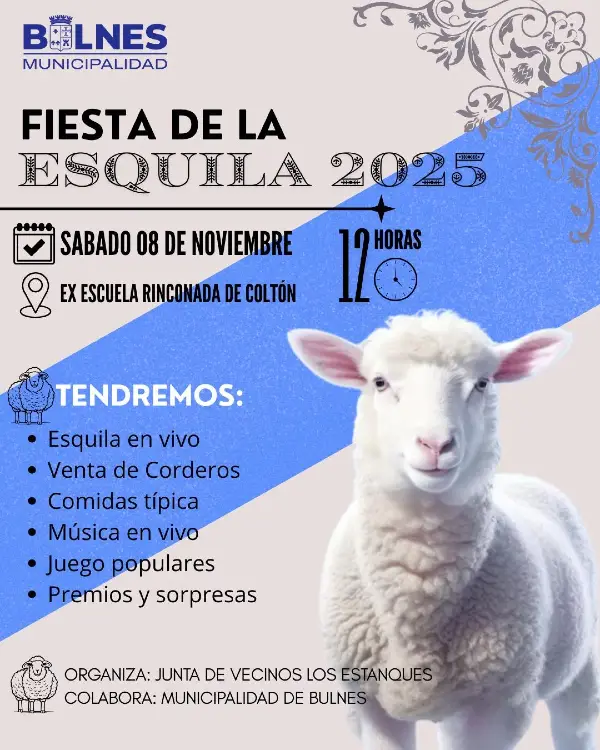 Fiesta de la Esquila 2025 en Bulnes 1 Fiesta de la Esquila 2025 en Bulnes