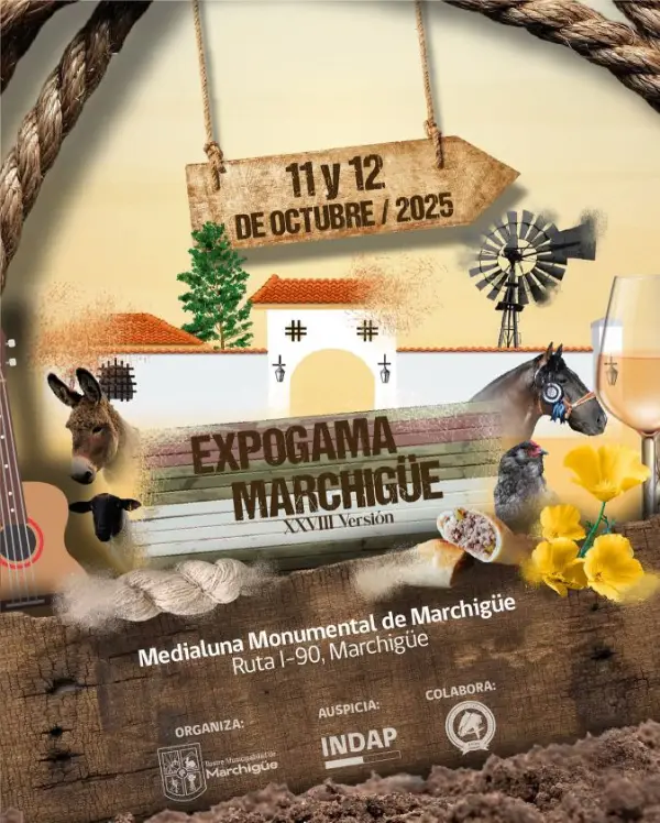 Expogama 2025