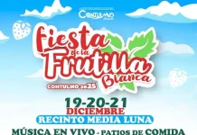 Fiesta de la Frutilla Blanca Contulmo 2025