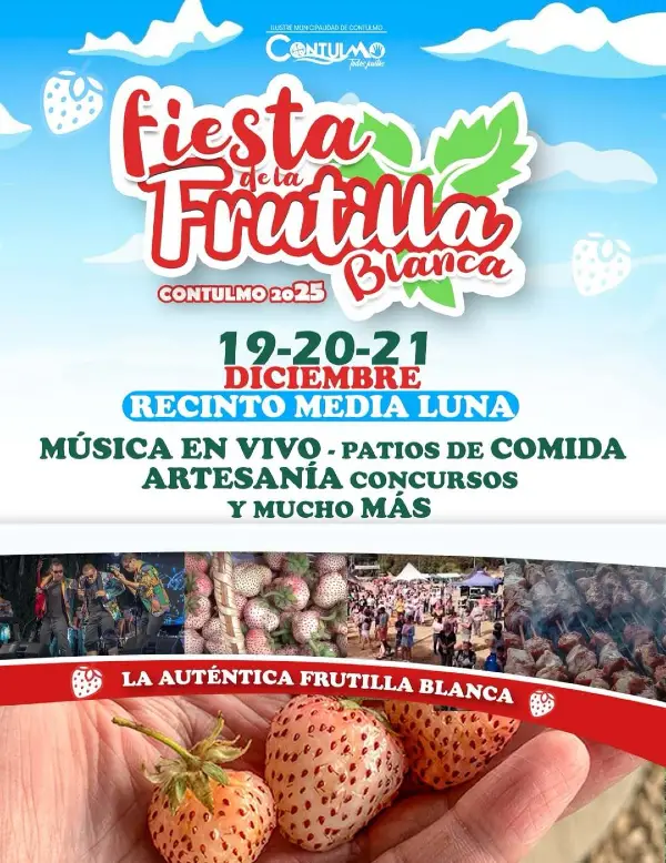 Fiesta de la Frutilla Blanca Contulmo 2025 1 Fiesta de la Frutilla Blanca Contulmo 2025