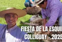 video fiesta de la esquila colliguay 2025