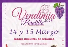 Vendimia Peralillo 2026