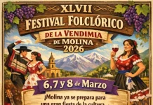 Festival Folclórico de la Vendimia de Molina 2026