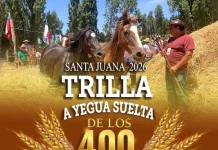 Trilla a Yegua Suelta Santa Juana 2026