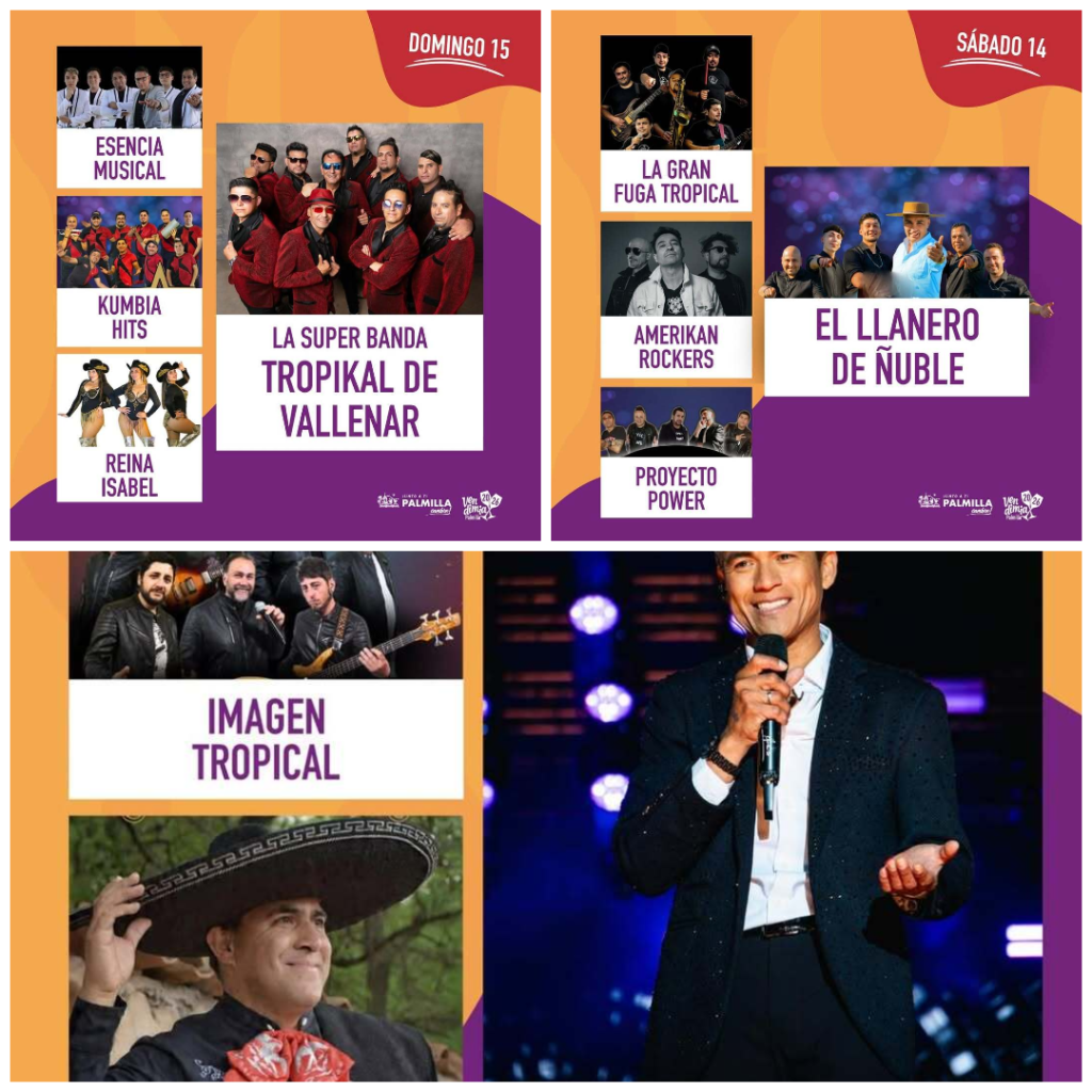 Fiesta de la Vendimia Palmilla 2026