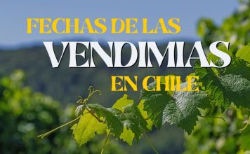 Fechas de las vendimias en Chile 2026